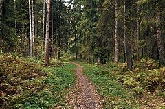 фото "перекресток"