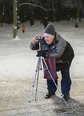 photo "***"