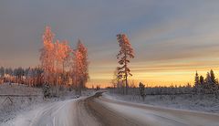 фото "В нарядах цвета персика"