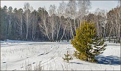 фото "Весеннее настроение...."