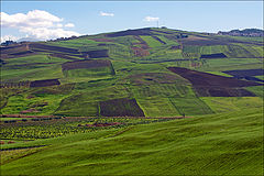 photo "Strip farming"