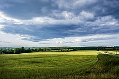 photo "***"