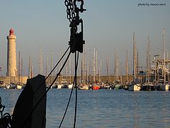 фото "in the harbour"