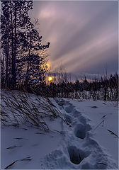 photo "***"