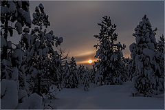 photo "***"