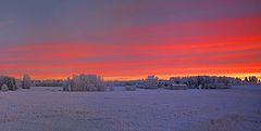 фото "Зимний розовый закат..."