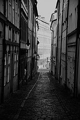 фото "Yлочка-2"