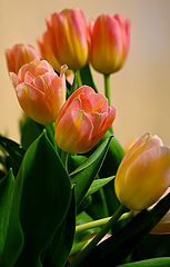photo "Весна"