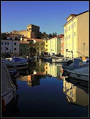 photo "Reflections in the mirror"