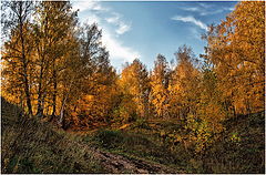 фото "Чудная осень"