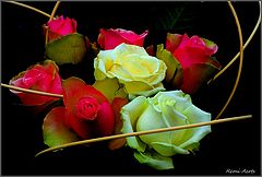 photo "***"