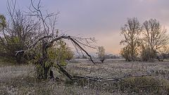 photo "***"