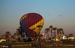 photo "Wrong landing"