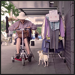 photo "Hold"