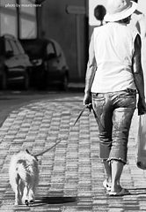 фото "the walk"