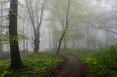 photo "***"