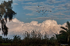 фото "Late afternoon"