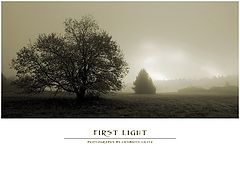 фото "first light"