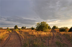 photo "***"