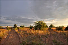 фото "Распутье"