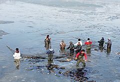photo "Fishermens"