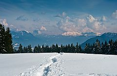 photo "Snow path"