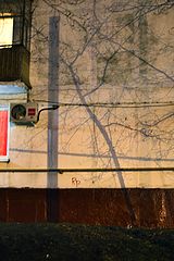 photo "***"