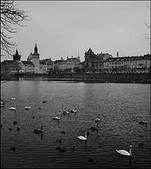 фото "Башне, дома и Влтава"