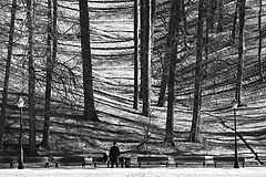 фото "В парке"