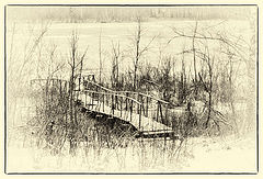 photo "***"