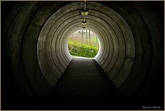 photo "***"