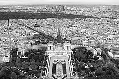 photo "Paris in B&W"