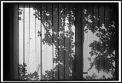 photo "***"