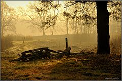 photo "***"