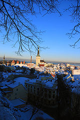 photo "Tallinn old town"