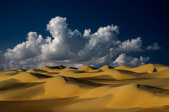фото "Dunes 27"