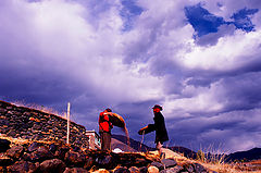фото "life here"