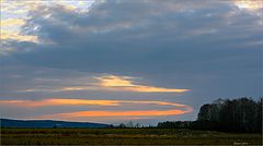 photo "Evening coppice"