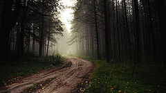 photo "***"