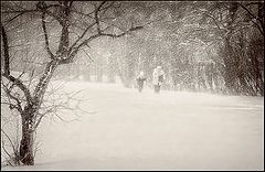 photo "Snowstorm"