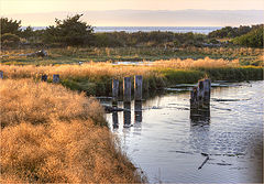 photo "Golden evening near old bridge remains"