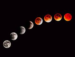 фото "Lunar Eclipse April 2014"
