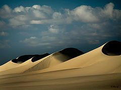 фото "Dunes 28"