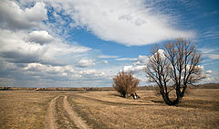 photo "***"