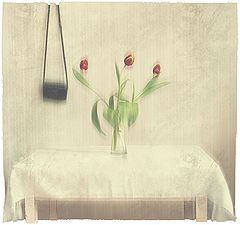 photo "***"