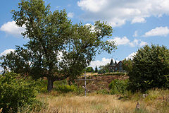 photo "***"