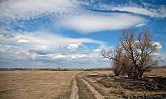 photo "***"