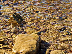 photo "low tide"