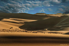 фото "Symphony of sand"