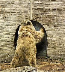 photo "Warden, change over!"